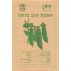 זרעי אפונת שלג גדולה 