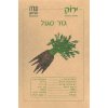 זרעי גזר סגול