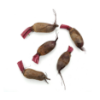 סלק מוארך בייבי