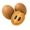 ספודילה