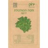 זרעי חסה מסולסלת ירוקה