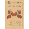 זרעי עגבנית שרי תמר
