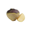 שורש רוטבגה