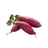 בטטה מיני