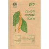 זרעי שעועית מטפסת צהובה