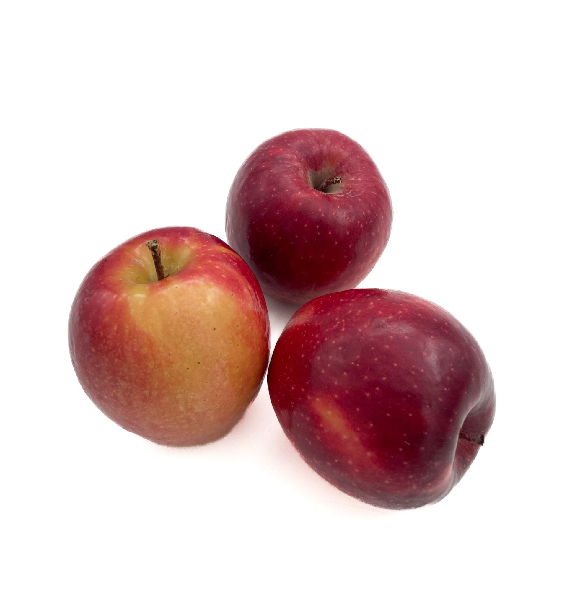 תפוח עץ קיסבל