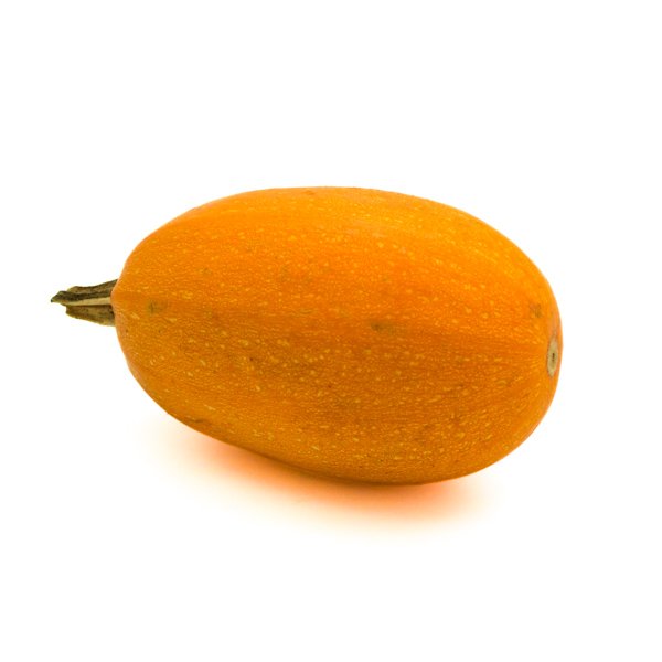 דלעת ספגטי צהובה