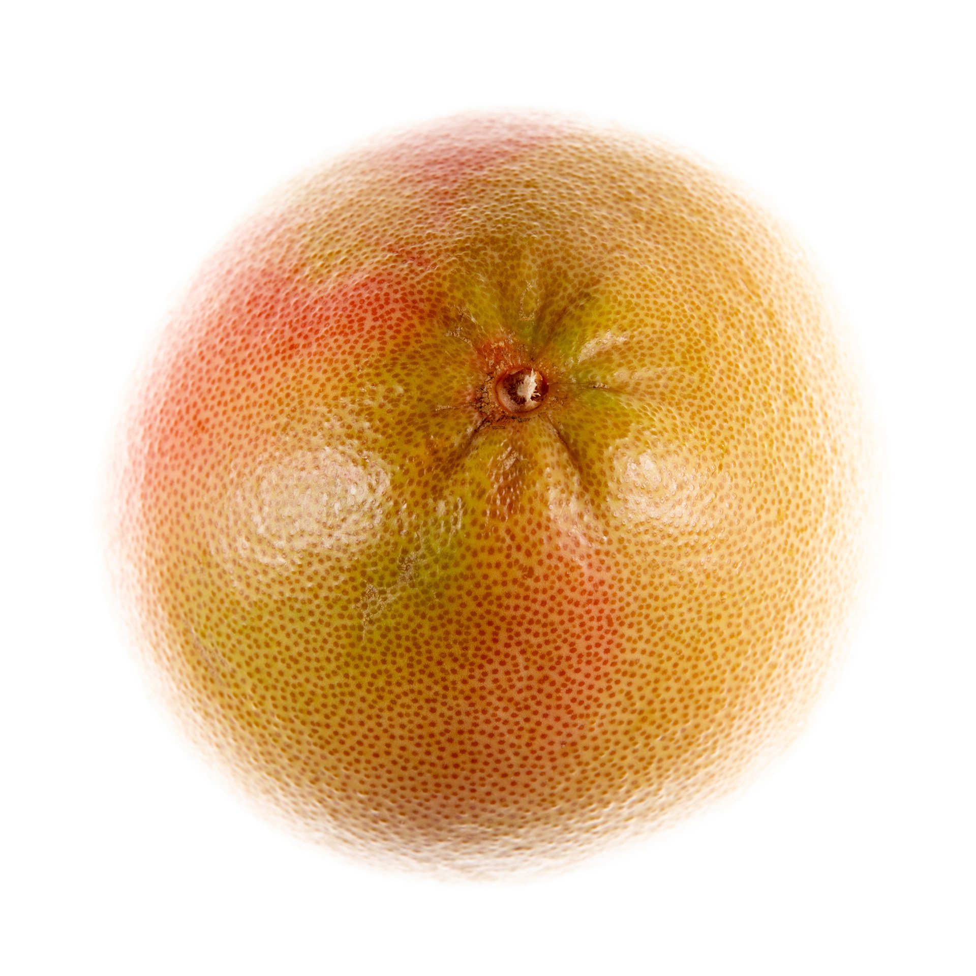 פומלה אדומה