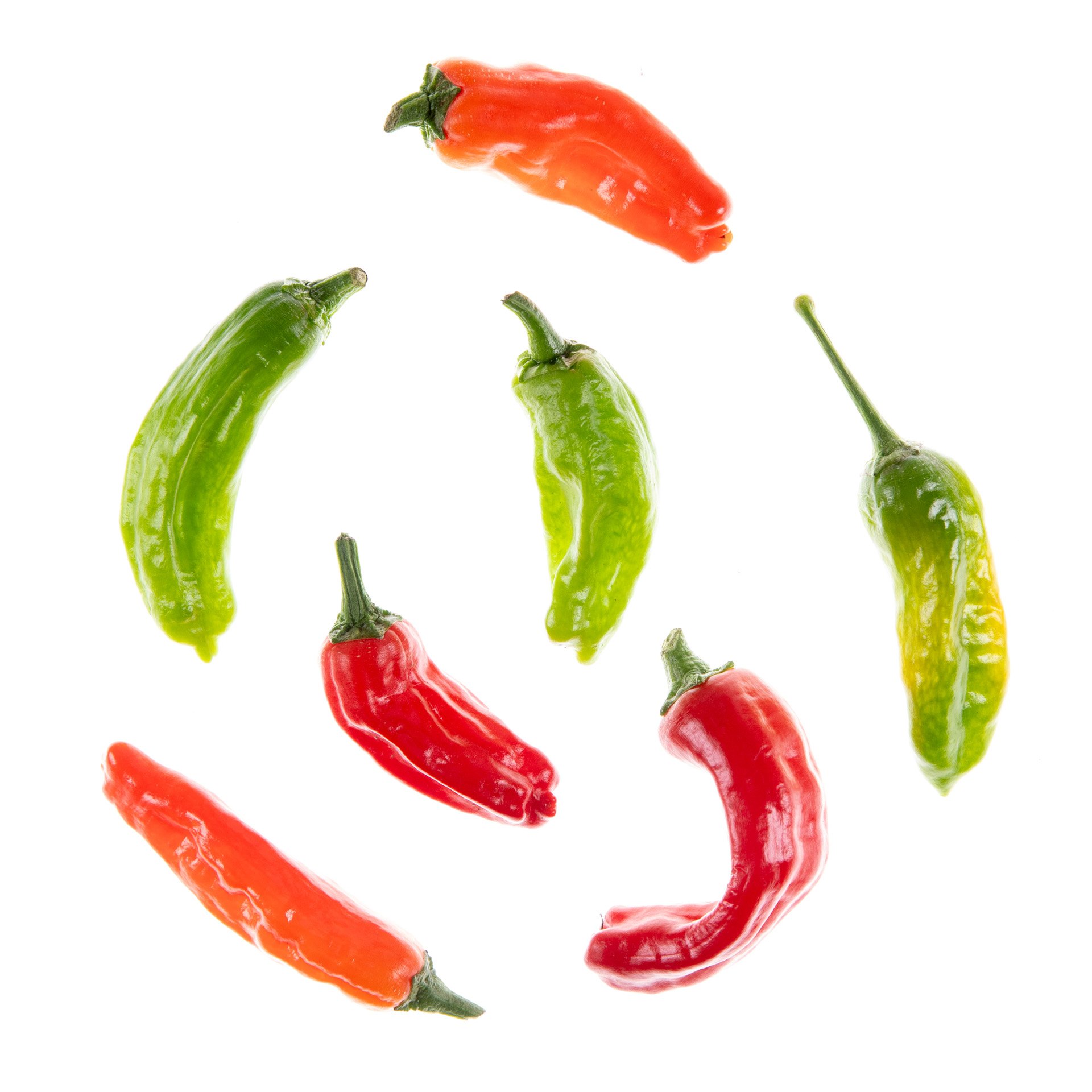 פלפל שישיטו