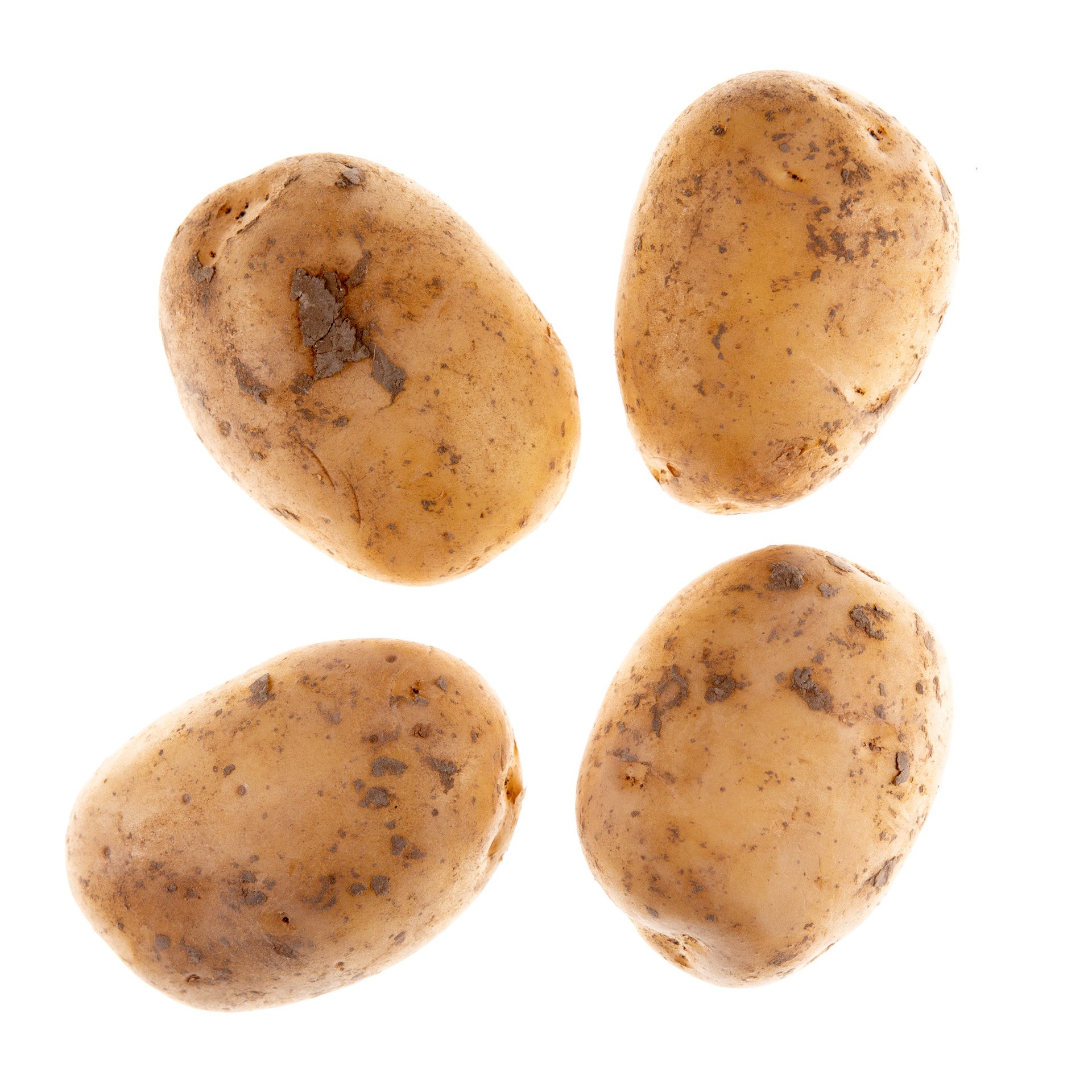 תפוח אדמה קווין