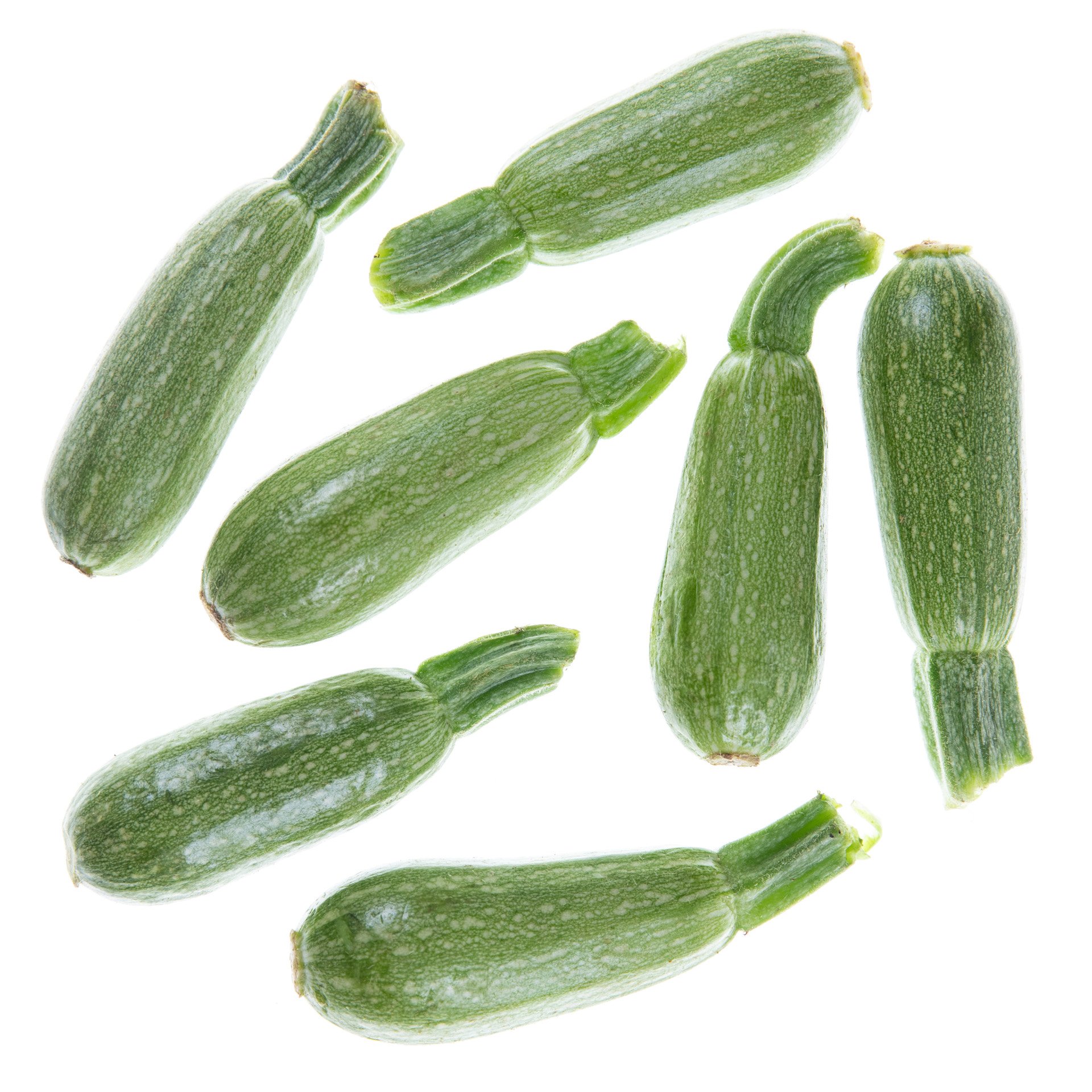 קישוא בלאדי