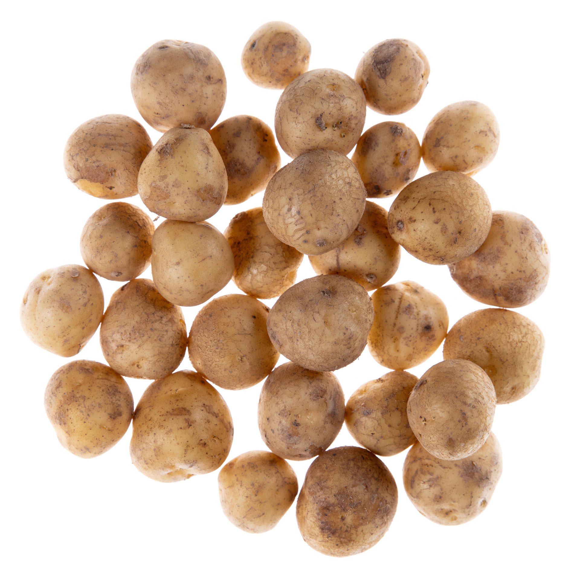 תפוח אדמה ליליפוט