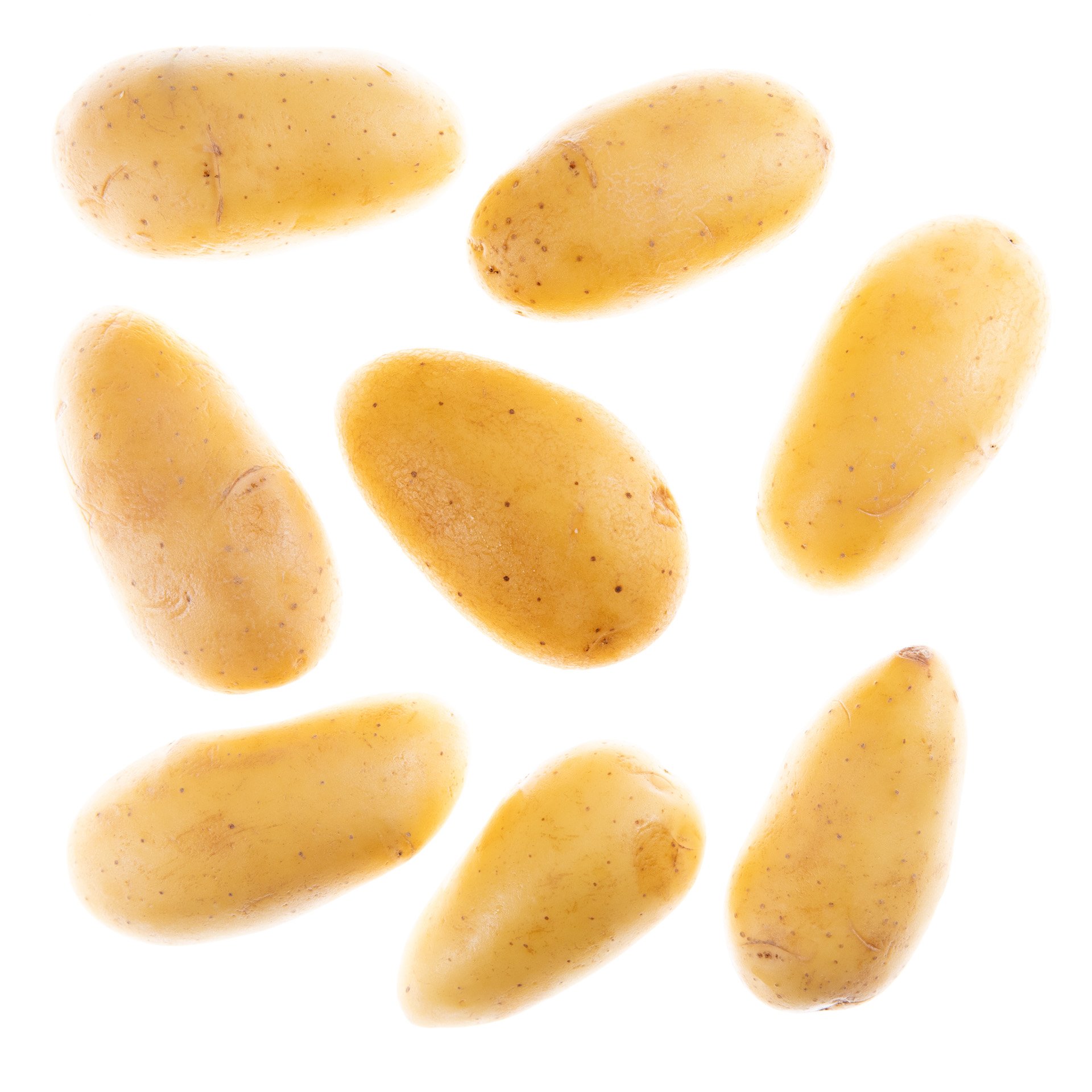 תפוח אדמה גורמנדין