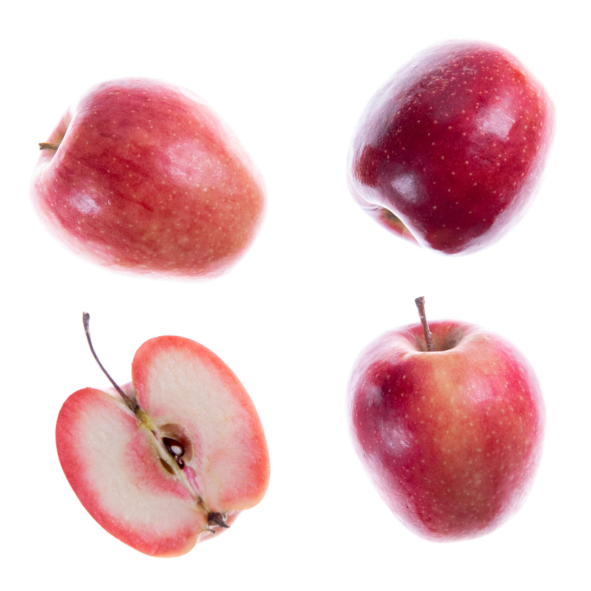 תפוח עץ קיסבל