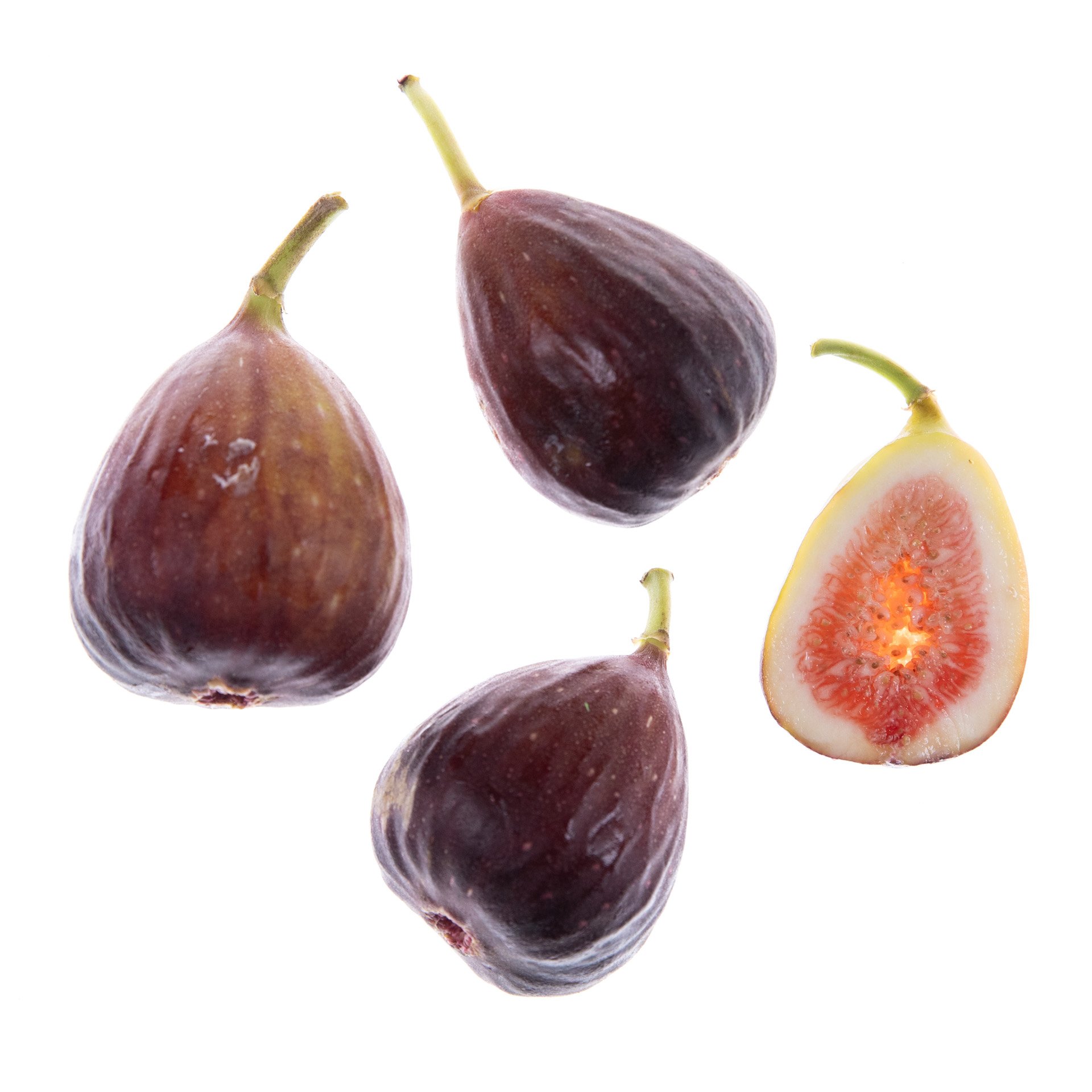 תאנים