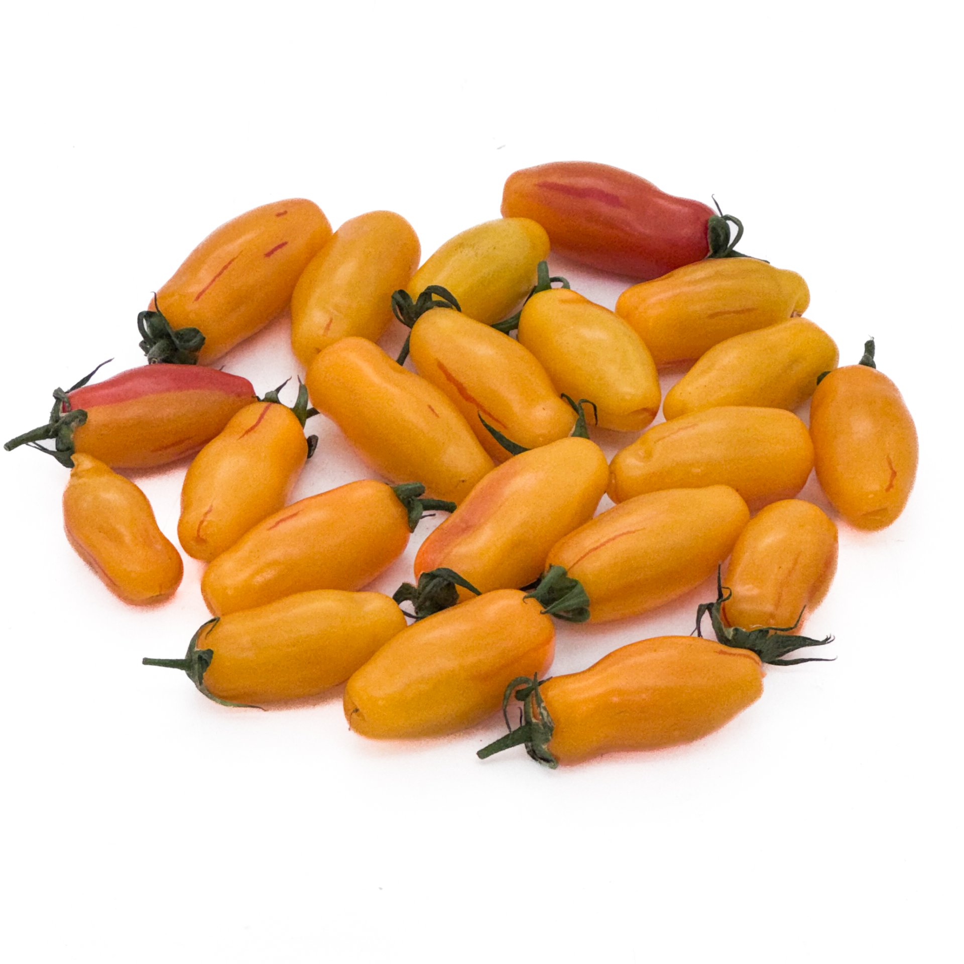 עגבניה ארלקינו שרי טייגר