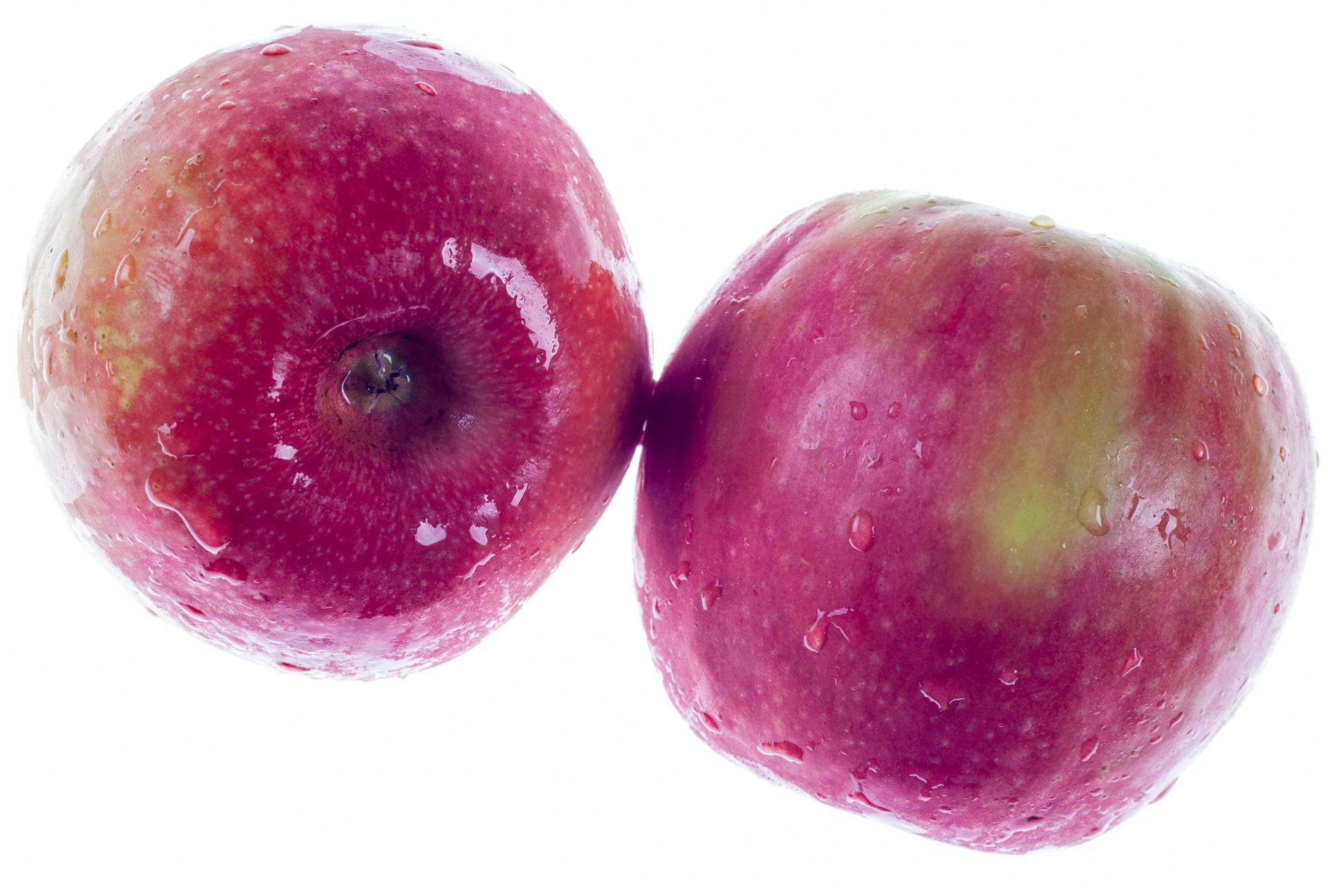 תפוח עץ פינק ליידי - יבוא