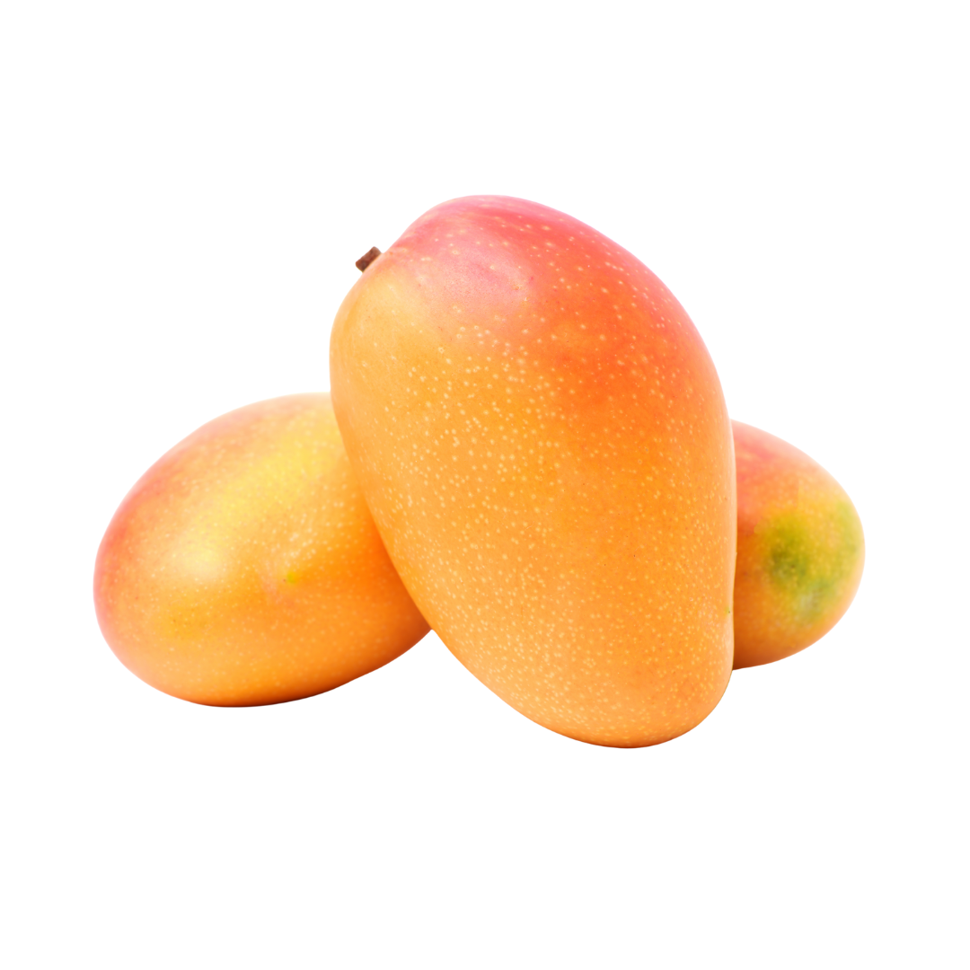 מנגו דויד