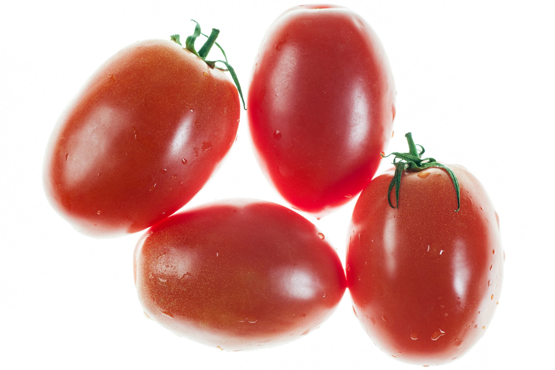 עגבניה תמר