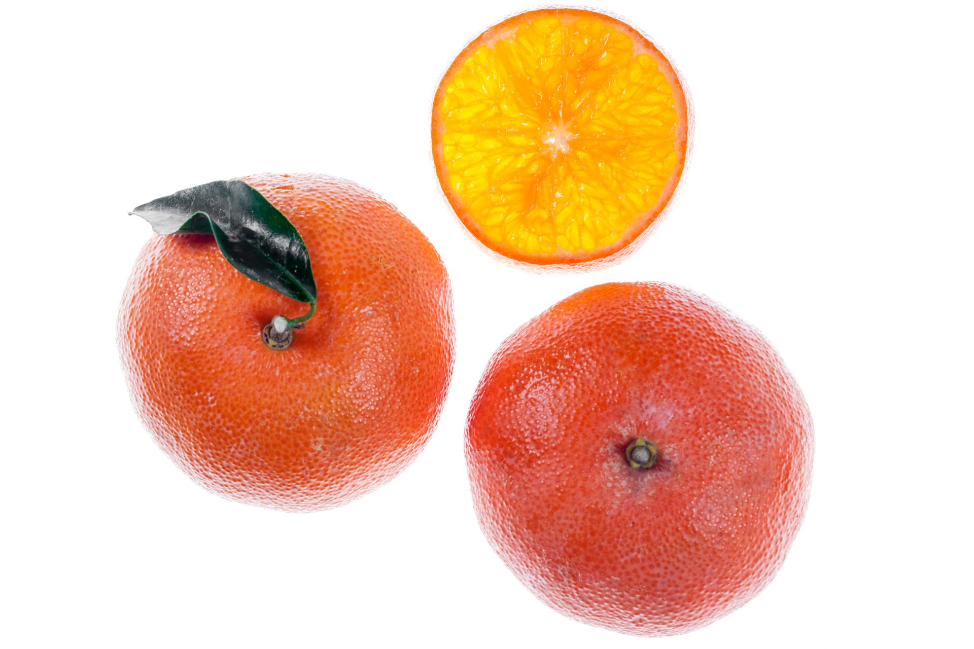 קלמנטינה אודם