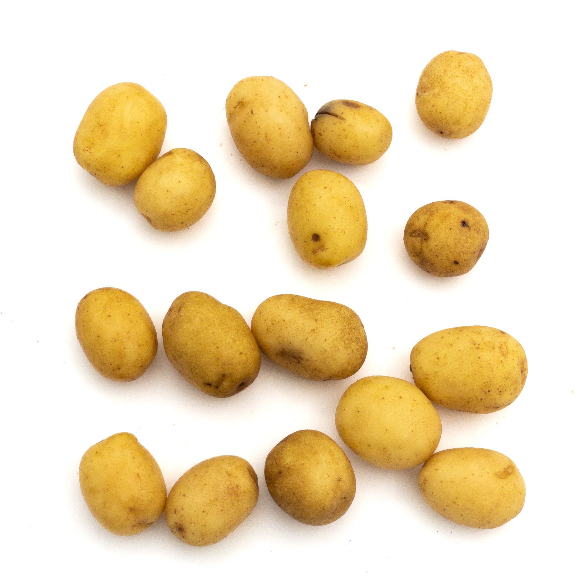 תפוח אדמה ליליפוט