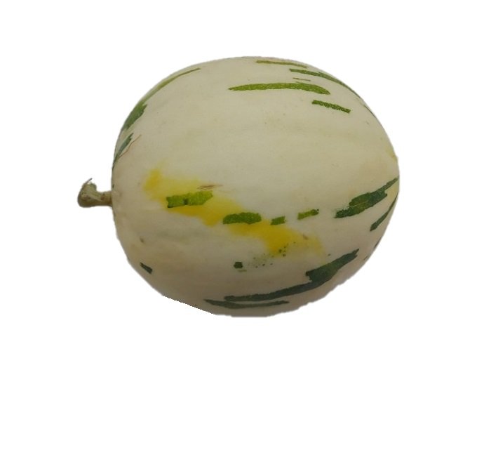 מלון פונטו