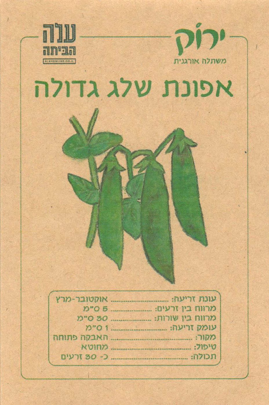 אפונת שלג גדולה 