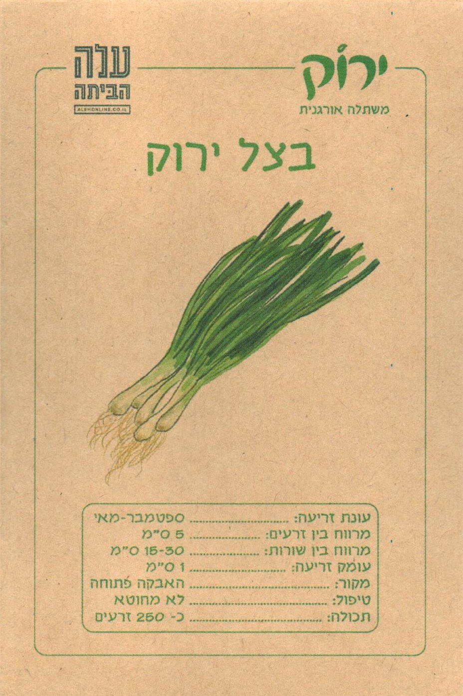 בצל ירוק