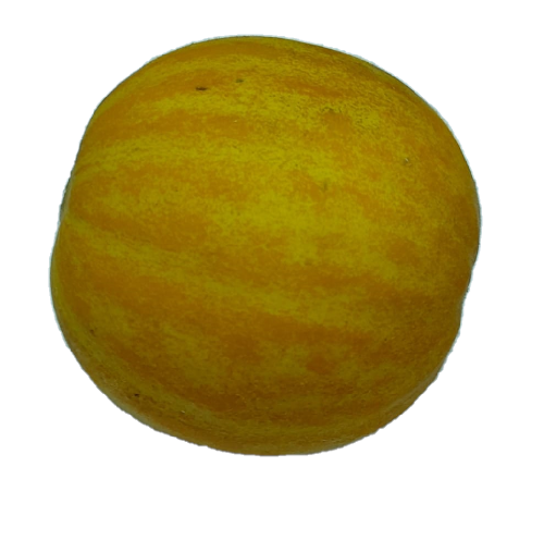 מלון בון בון