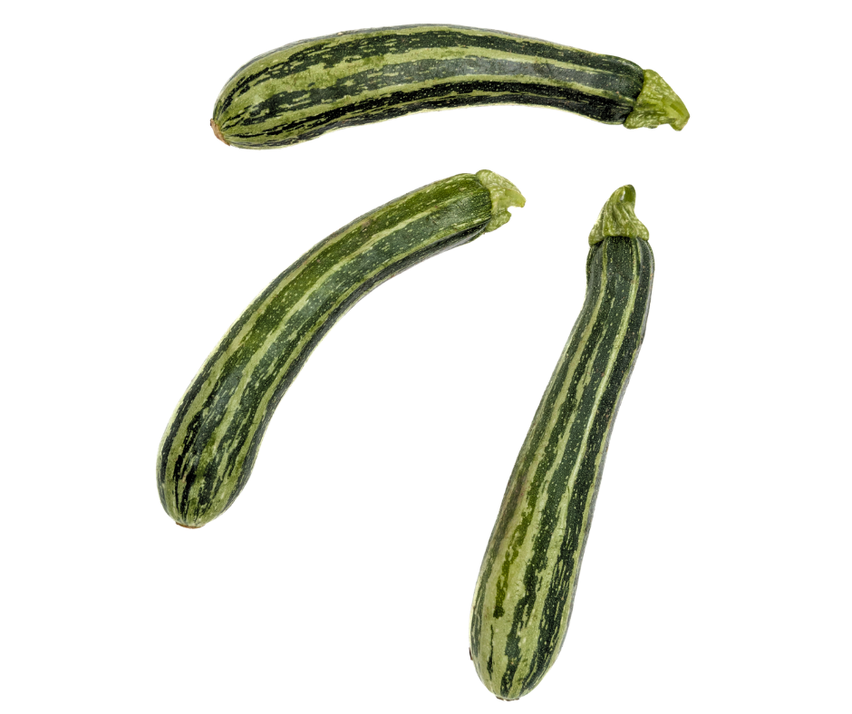 זוקיני זברה
