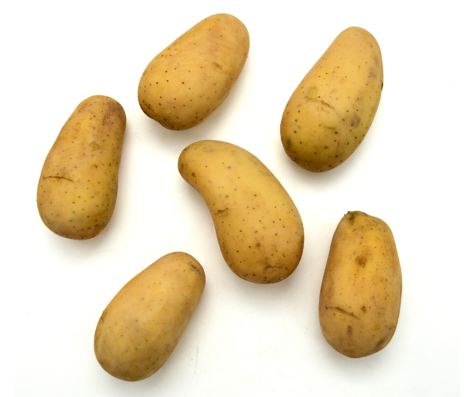 תפוח אדמה אליאנס