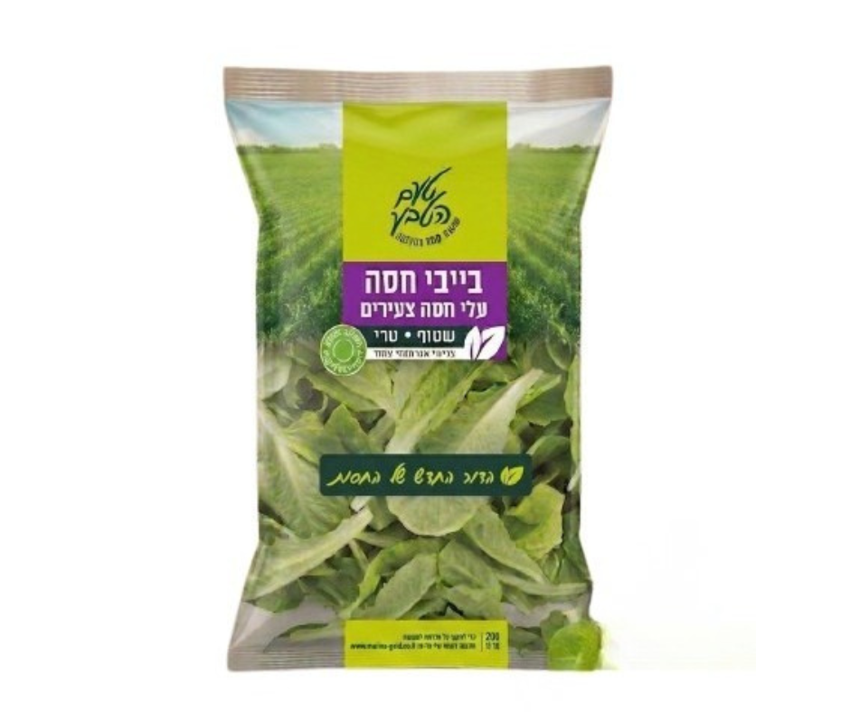 בייבי חסה – לקט עלי חסה צעירים