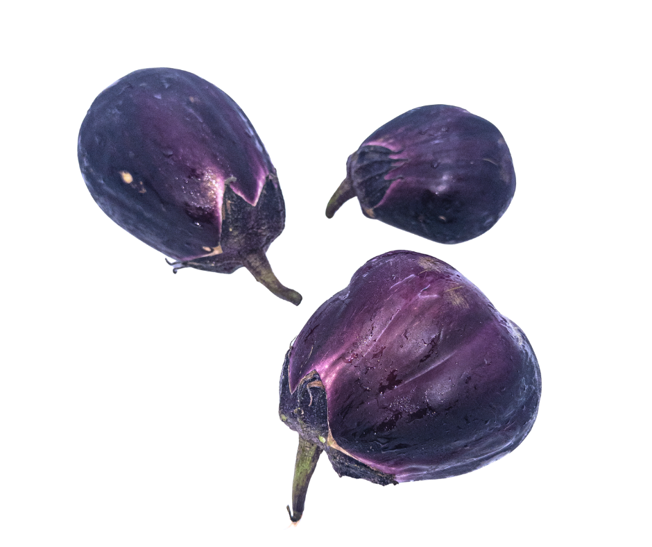 חציל מים יפני