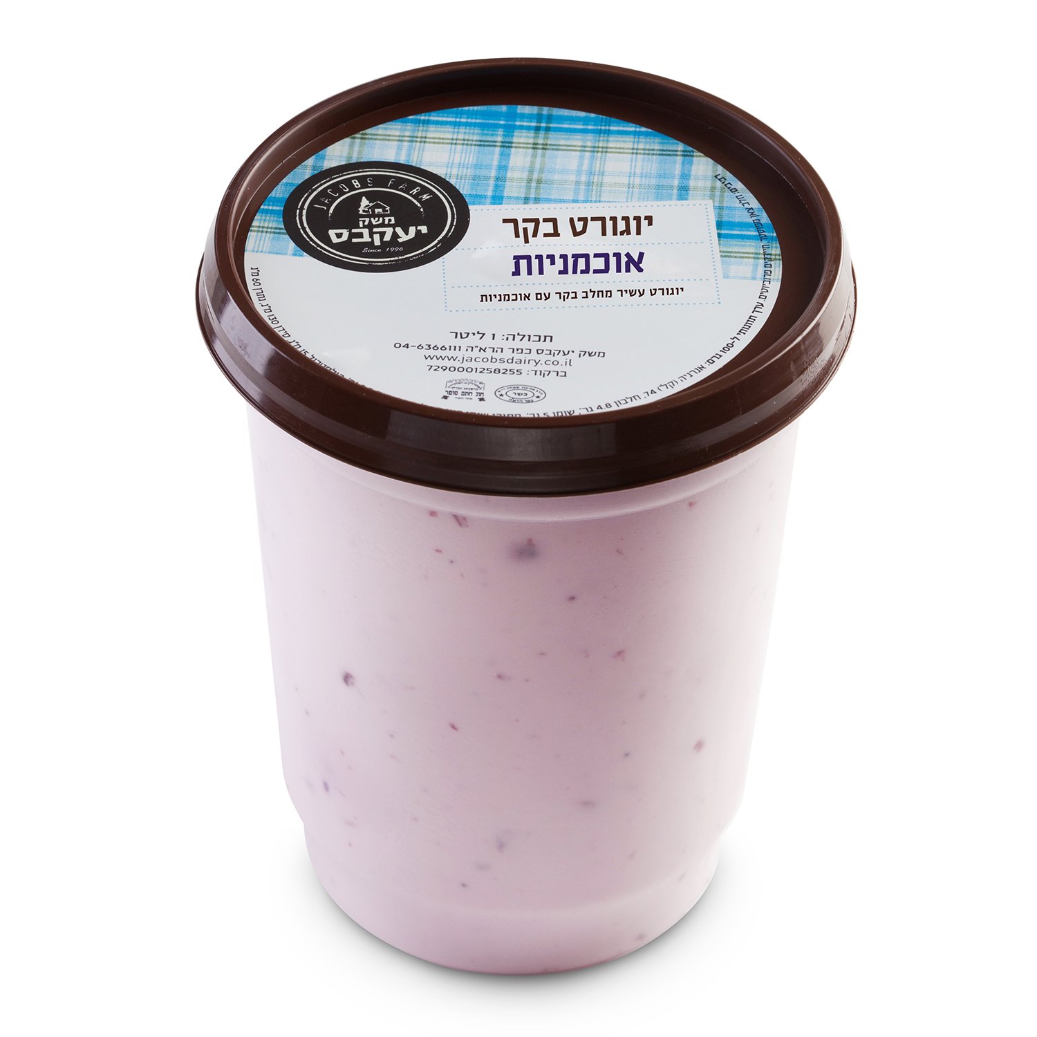 יוגורט אוכמניות מחלב בקר