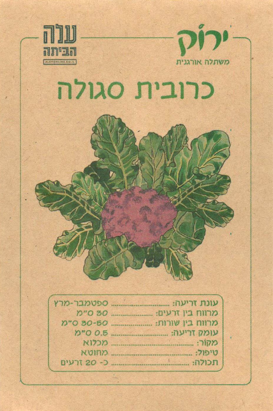 זרעי כרובית סגולה