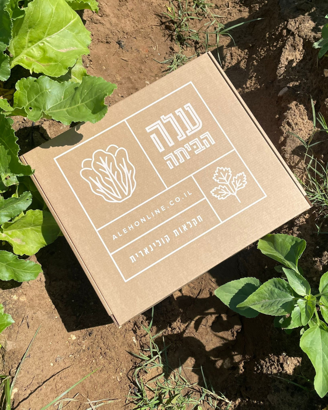מארז יפותא