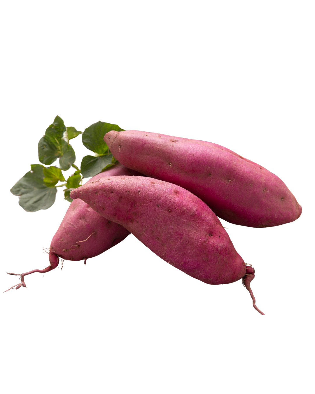 בטטה מיני