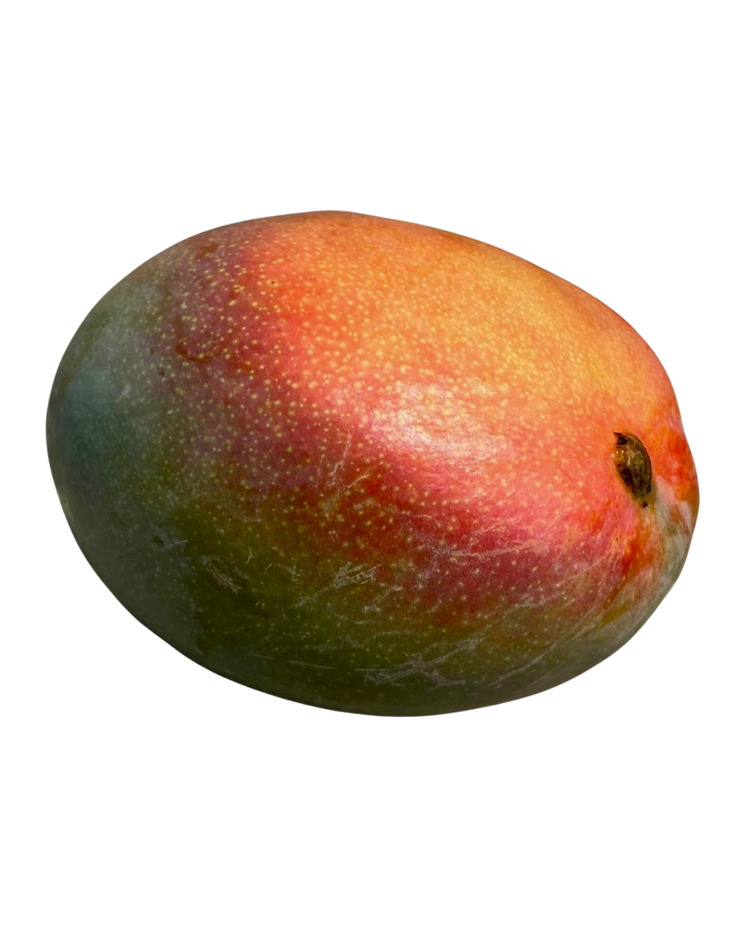 מנגו קנט