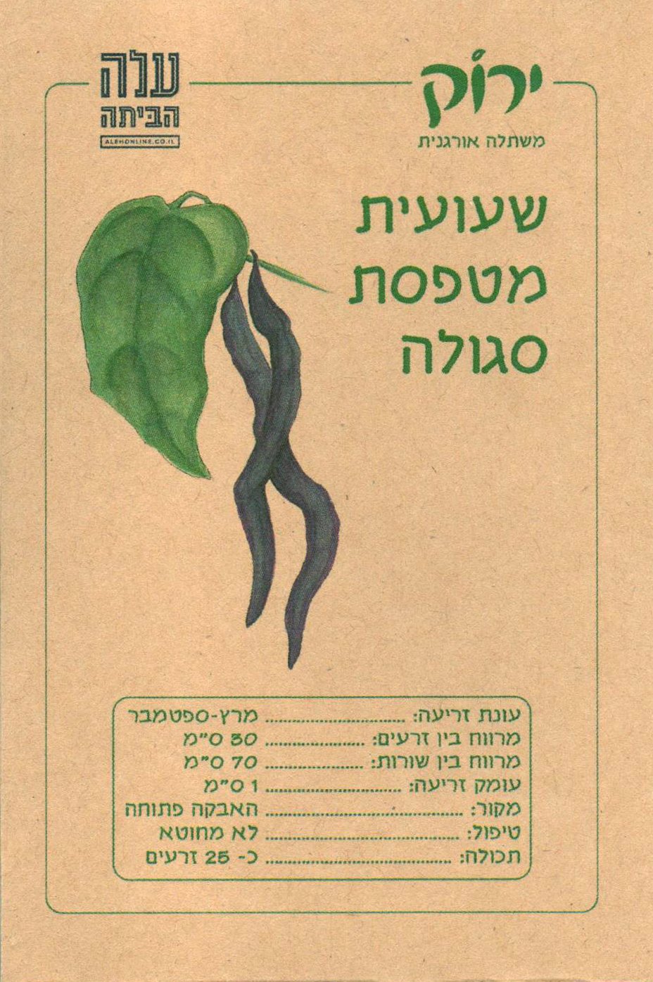 זרעי שעועית מטפסת סגולה
