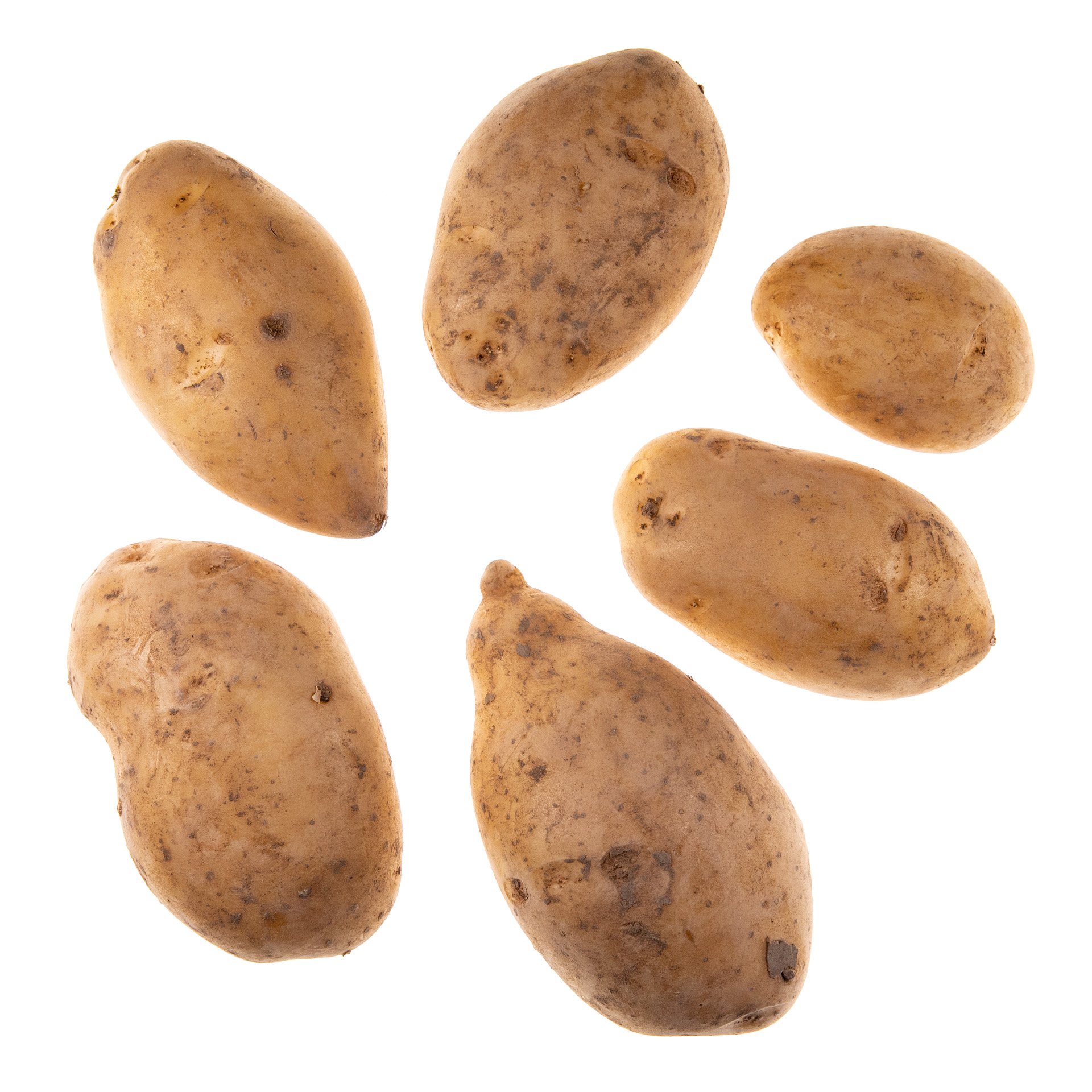 תפוח אדמה רויאל
