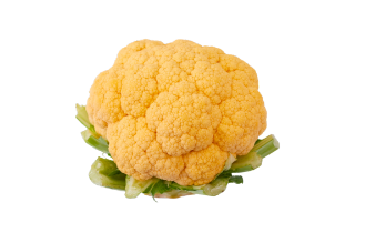 כרובית כתומה