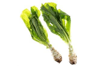 אספרגוס סיני