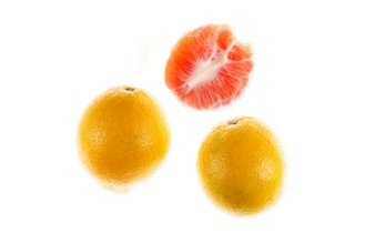 תפוז דם קרה קרה