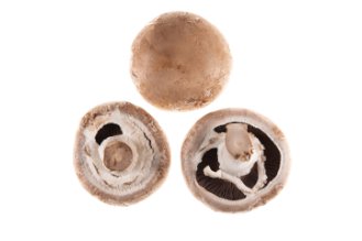 פטריות פורטבלו סטייק