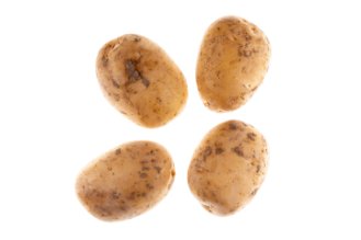 תפוח אדמה קווין