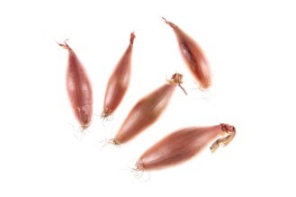 בצל שאלוט מאורך