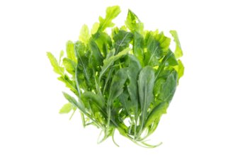 רוקט ווסאבי | יפני