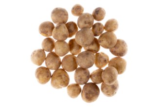 תפוח אדמה ליליפוט