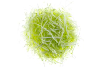 פפאיה ירוקה קצוצה - מוכן למאכל