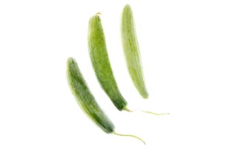 פאקוס בלאדי מובחר